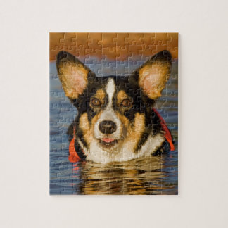 Gullig Corgi Pussel