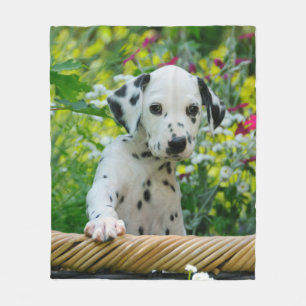 Gullig Dalmatian hundvalp, komfort Fleecefilt
