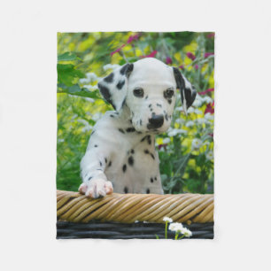 Gullig Dalmatian hundvalp som är comfy Fleecefilt