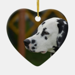 Gullig Dalmatian valp Julgransprydnad Keramik