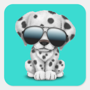 Gullig Dalmatian valphund som ha på sig Fyrkantigt Klistermärke