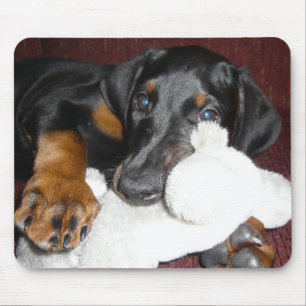 Gullig DobermanPinschervalp Mousepad Musmatta