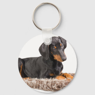 gullig dobermanpinschervalp nyckelring