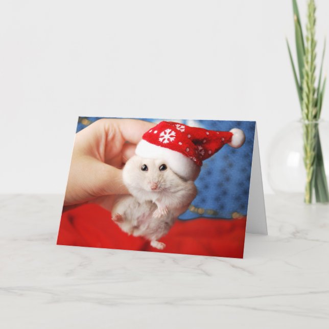 Gullig dvärg- hamster Tutku med jultomtenhatten Helgkort (Framsida)