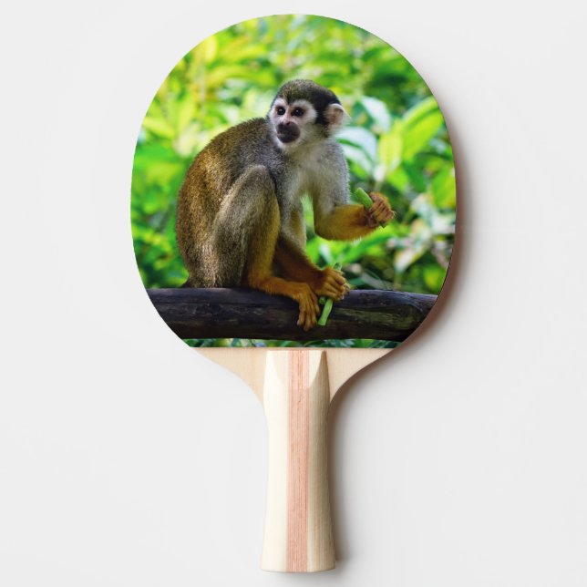 Gullig ekorreapa pingisracket (Framsidan)