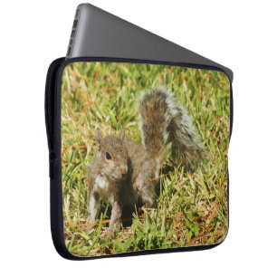 Gullig ekorrenaturlaptop sleeve