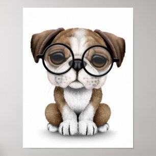 Gullig engelsk bulldoggvalp som ha på sig poster