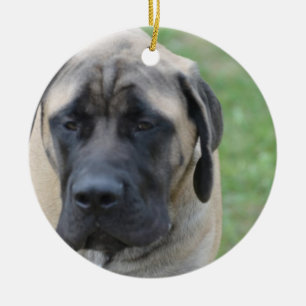 Gullig engelsk Mastiff Julgransprydnad Keramik