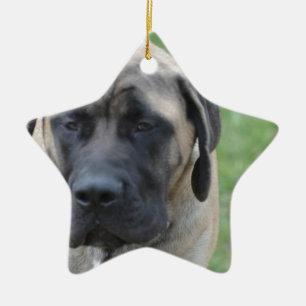 Gullig engelsk Mastiff Julgransprydnad Keramik