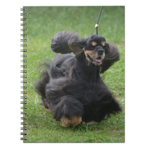 Gullig engelskacockerspanielSpaniel Anteckningsbok Med Spiral