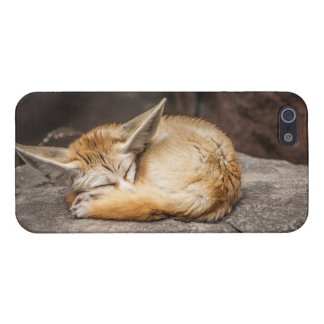 Gullig Fennec räv iPhone 5 Skydd