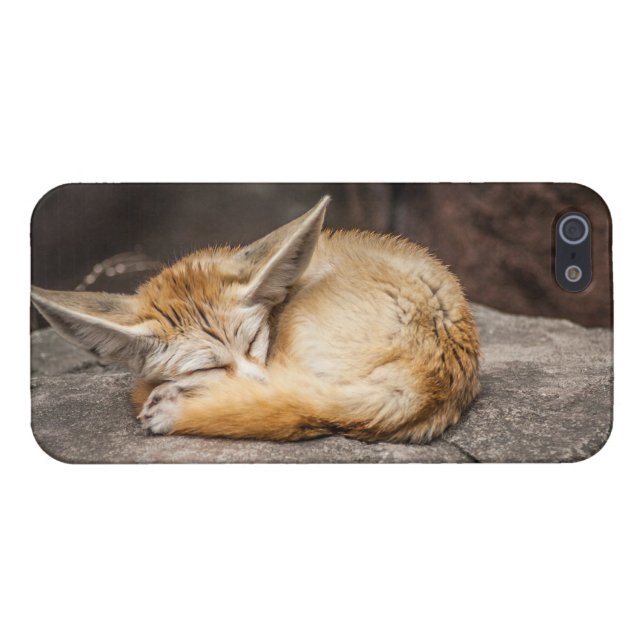 Gullig Fennec räv iPhone 5 Skydd (Baksidan Horisontell)