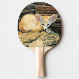 Gullig fennecräv pingisracket