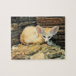 Gullig fennecräv pussel
