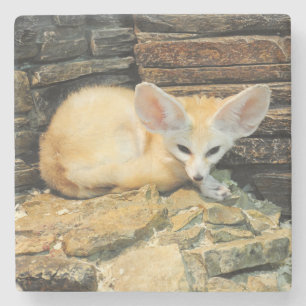 Gullig fennecräv stenunderlägg