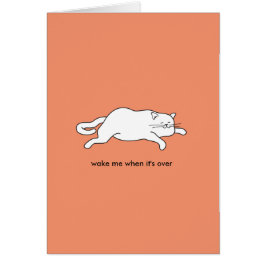 gullig fet katt på ett kort