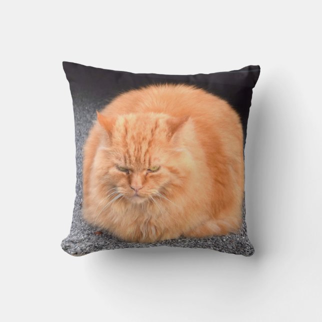 Gullig fet kattgultfärg kudde (Framsida)