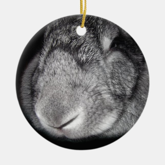 Gullig Flemish jätte- näsnärbild Julgransprydnad Keramik (Framsidan)