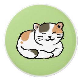 gullig fluffig calicoorange och svartkatt knopp