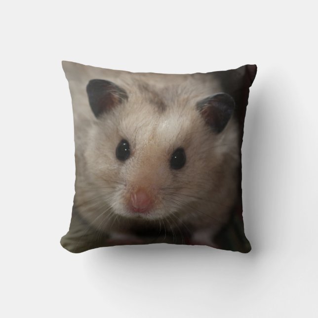 Gullig fluffig Hamster Kudde (Framsida)