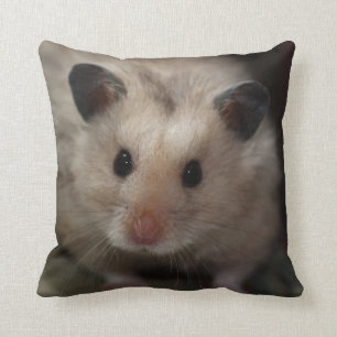 Gullig fluffig Hamster Kudde