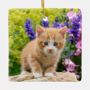 Gullig fluffig ljust rödbrun babykattkattunge i julgransprydnad keramik
