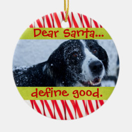 Gullig för julfoto för katt eller för hund julgransprydnad keramik