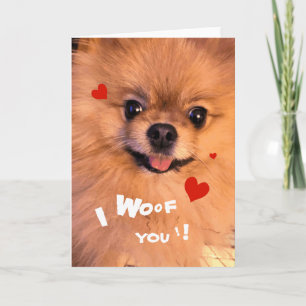 Gullig förtjusande älsklings- Pomeranian Helgkort