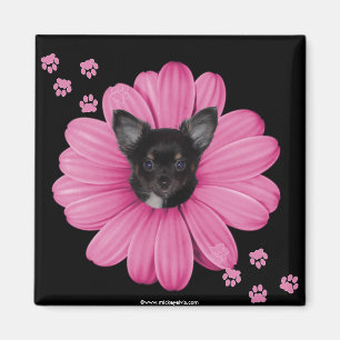 Gullig förtjusande Sly himmelChihuahua Magnet