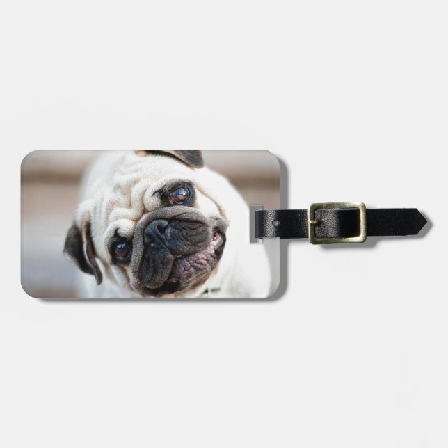 Gullig frågvis mopsdesign bagagebricka (Horisontell Framsida)
