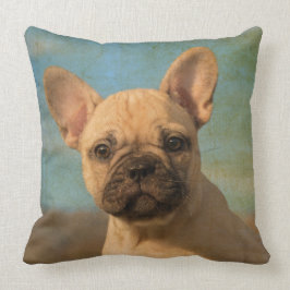 Gullig fransk bulldoggvalp, vintage kudde