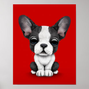 Gullig fransk bulldoggvalphund på rött poster