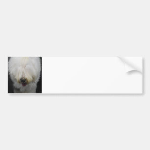 Gullig gammal engelsk Sheepdogbildekal Bildekal