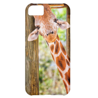 Gullig giraff iPhone 5C fodral
