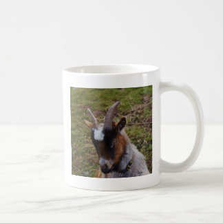 Gullig Goat. Kaffemugg