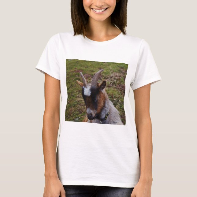 Gullig Goat. Tee Shirt (Framsida)