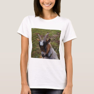 Gullig Goat. Tröja
