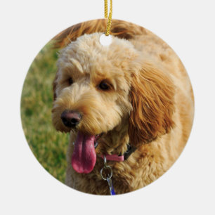 Gullig Goldendoodle hund Julgransprydnad Keramik