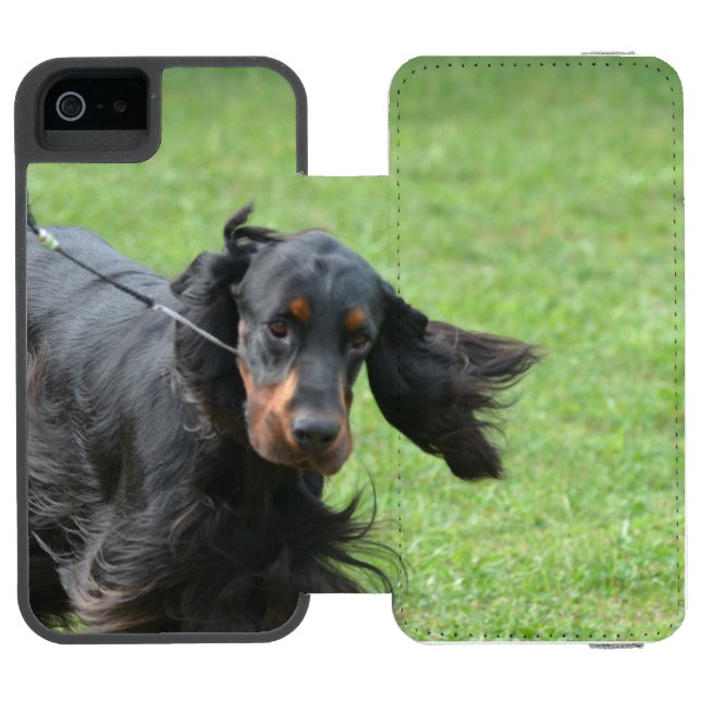 Gullig Gordon Setter Incipio iPhone Wallet Skal (Folio Öppen)