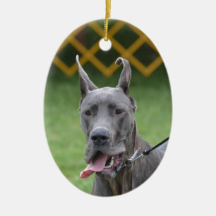 Gullig great dane julgransprydnad keramik