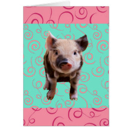 Gullig gris - blått & rosan virvlar runt hälsningskort