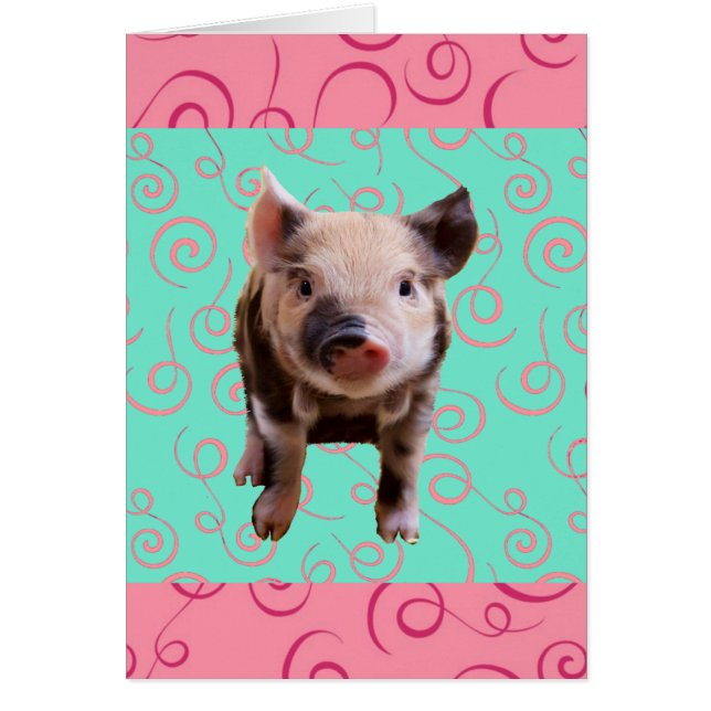 Gullig gris - blått & rosan virvlar runt hälsningskort (Framsidan)