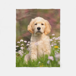 Gullig guld- Retrieverhundvalp som är comfy Fleecefilt