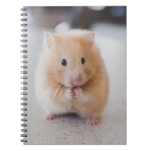 Gullig hamster anteckningsbok