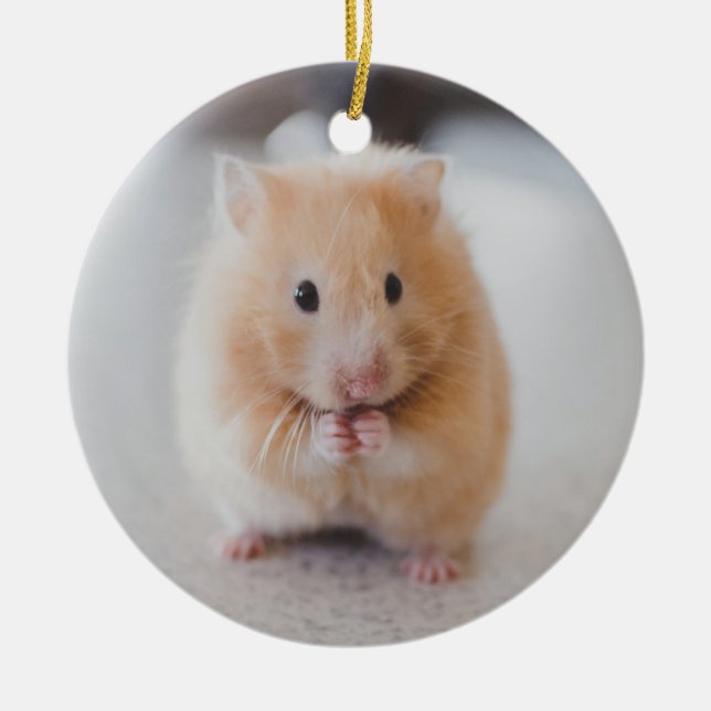 Gullig hamster julgransprydnad keramik (Framsidan)
