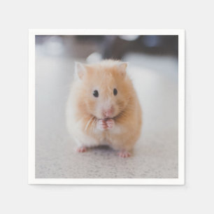 Gullig hamster pappersservett