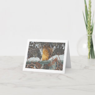 "GULLIG HÅRIGEKORRE PÅ SNÖIG STAKET"/DIG.MANIP. KORT