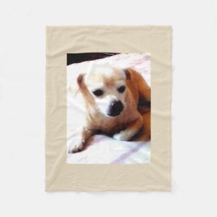 Gullig hund fleecefilt