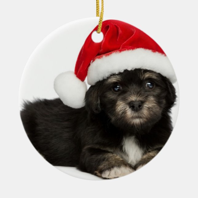 Gullig hund för julHavanese valp Julgransprydnad Metall (Framsidan)