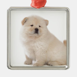 gullig hund för valp för valp för vitchowchow julgransprydnad metall